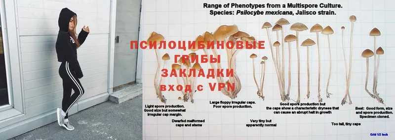 МАРИХУАНА Дудинка